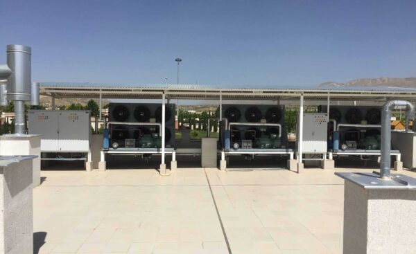 شهرداری شیراز